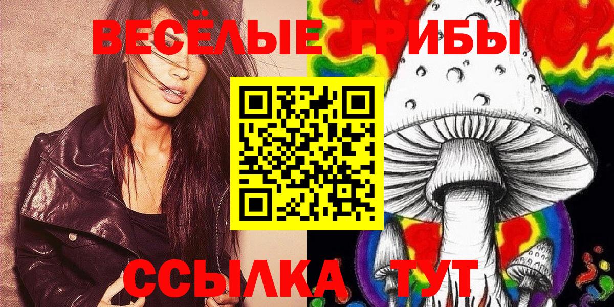 Псилоцибиновые грибы Magic Shrooms  купить наркотики сайты  Галлюциногенные грибы ЛСД  Гудермес  Вход с VPN 