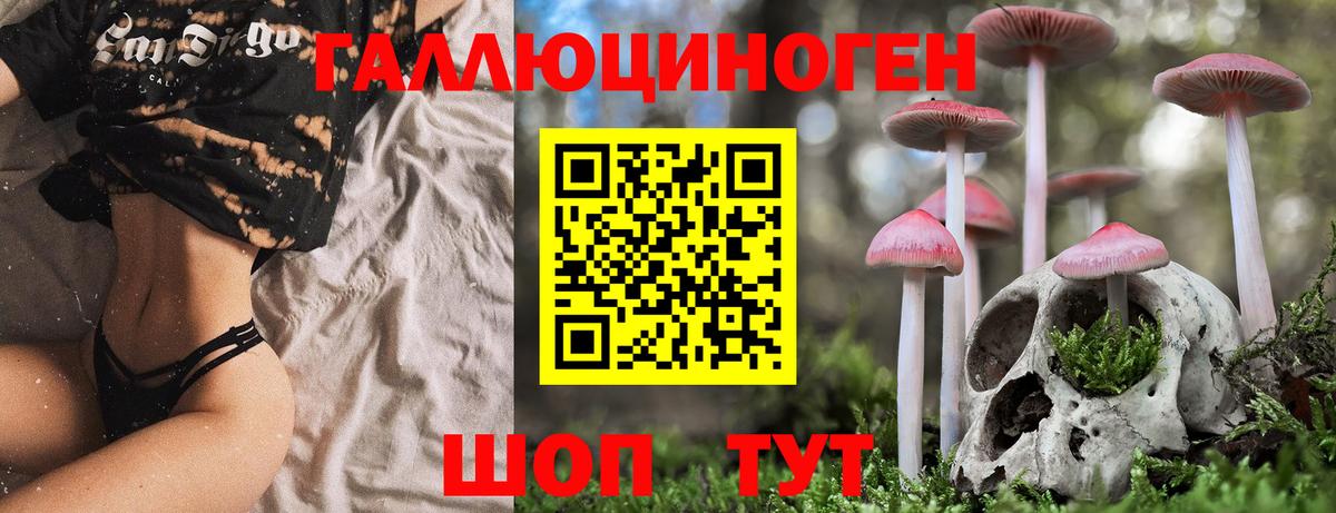Галлюциногенные грибы MAGIC MUSHROOMS Гудермес